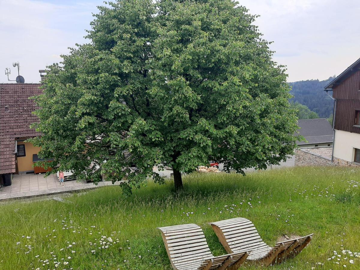 Na Buďárce Paseky nad Jizerou Exterior foto